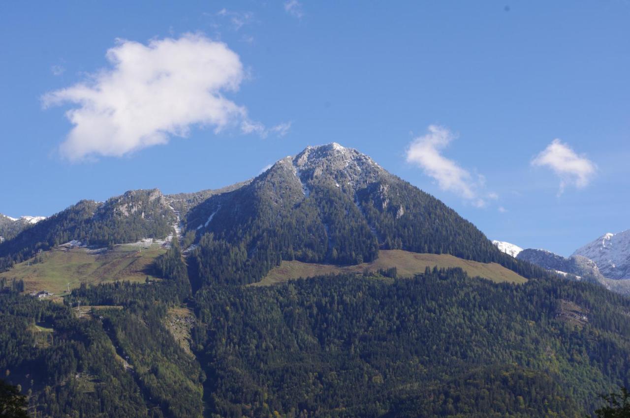 Haus Alpenrebe