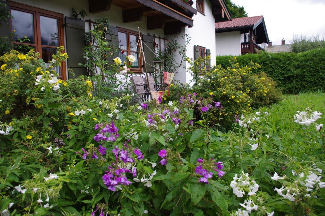 Haus Alpenrebe Apartment *