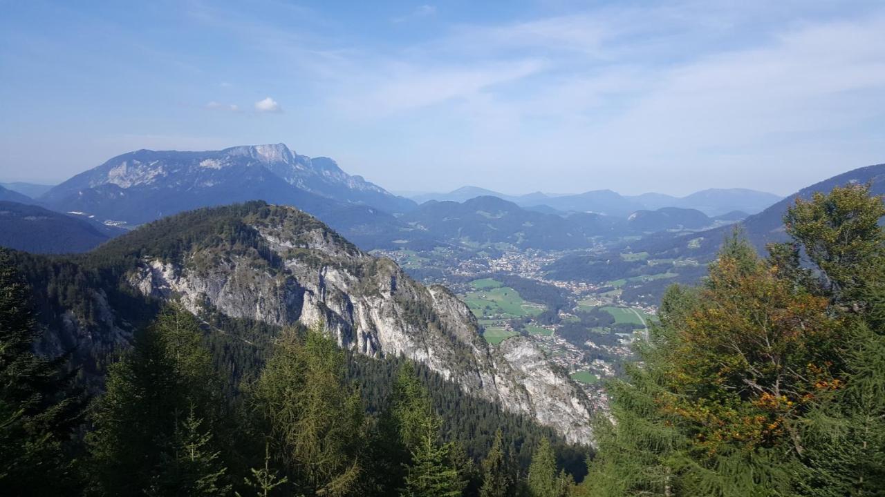 Haus Alpenrebe *